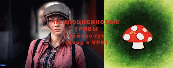 гидропоника Лагань