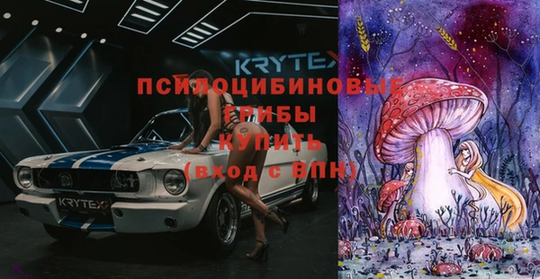 гидропоника Лагань