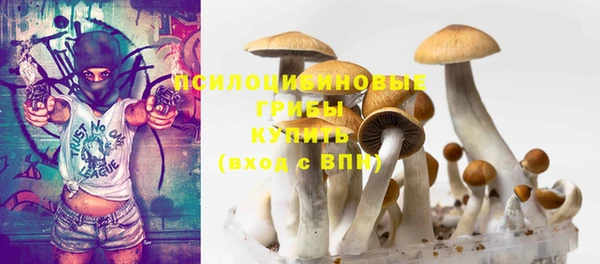 spice Лабытнанги